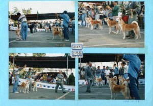 profile_img011
